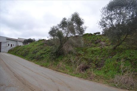 Land plot 8.200sqm for sale-Stagiron - Akanthou » Koumitsa