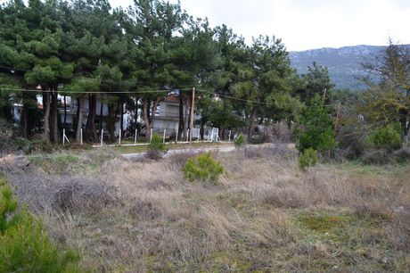 Land plot 600sqm for sale-Chortiatis » Center