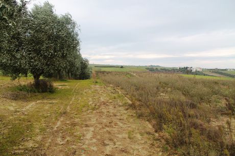 Land plot 7.350sqm for sale-Thermaikos » Peraia