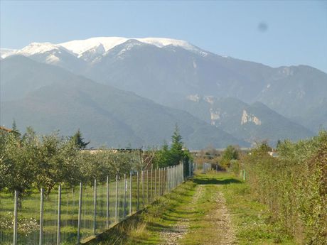 Land plot 4.000sqm for sale-Litochoro » Plaka