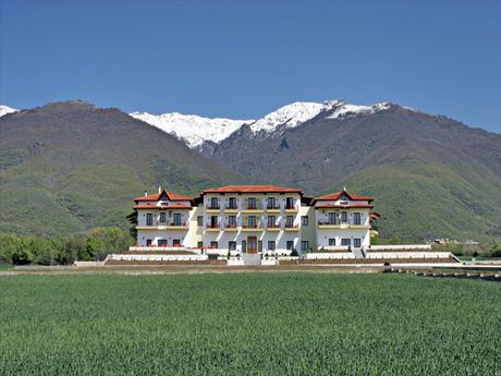 Hotel 1.688sqm for sale-Petritsi » Omalo