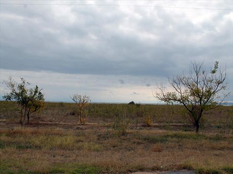 Land plot 4.000sqm for sale-Poligiros » Kalives Poligirou