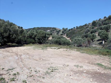 Land plot 3.000sqm for sale-Pallini » Nea Skioni