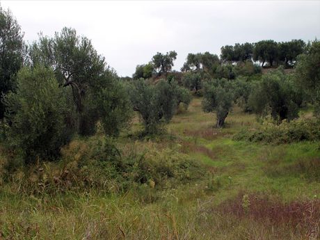 Land plot 18.237sqm for sale-Kassandra » Kassandreia