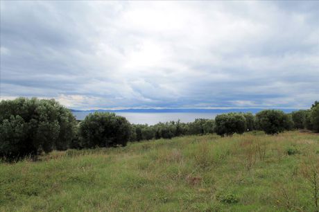 Land plot 16.500sqm for sale-Sithonia » Center