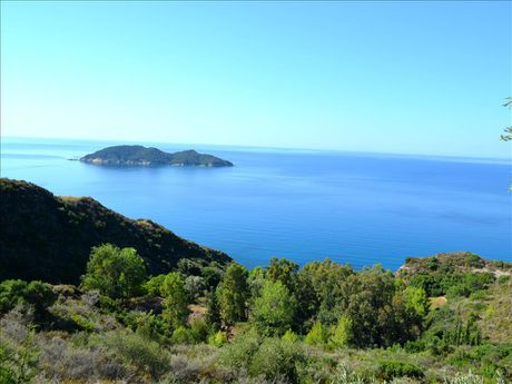 Land plot 30.000sqm for sale-Main Town Area » Kokiareika