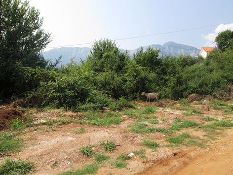 Land plot 461sqm for sale-Thasos » Chrisi Ammoudia