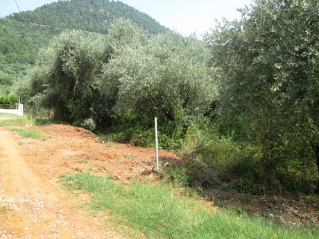Land plot 195sqm for sale-Thasos » Chrisi Ammoudia