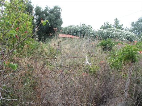 Land plot 600sqm for sale-Moudania » Nea Potidaia