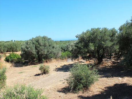 Land plot 2.009sqm for sale-Chersonisos » Piskopiano