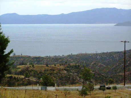 Land plot 15.000sqm for sale-Pallini » Polichrono