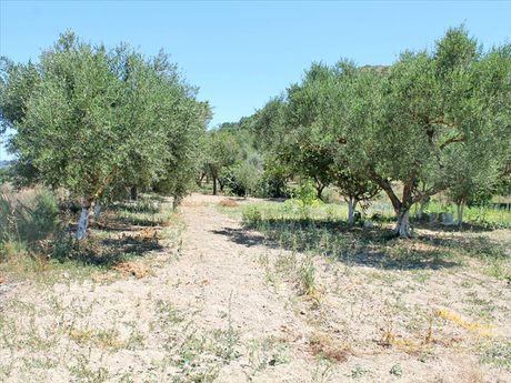 Land plot 1.285sqm for sale-Main Town Area » Main Town - Chora