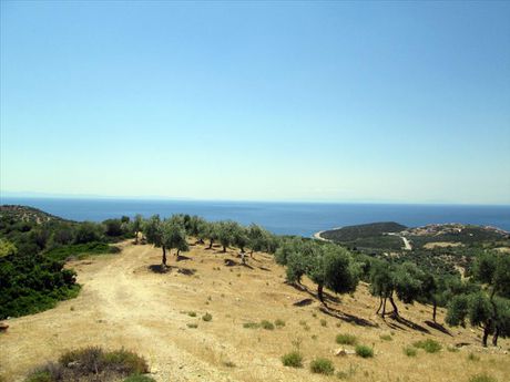 Land plot 12.000sqm for sale-Thasos » Kallirachi
