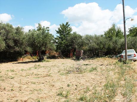 Land plot 485sqm for sale-Mallia » Stalida
