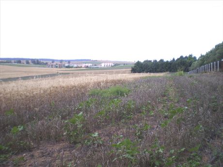 Land plot 4.370sqm for sale-Kassandra » Filakes Karakallou
