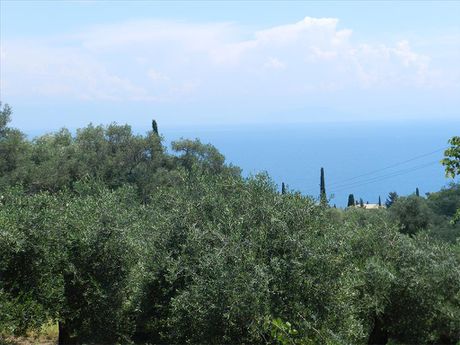Land plot 2.000sqm for sale-Corfu » Achilleio