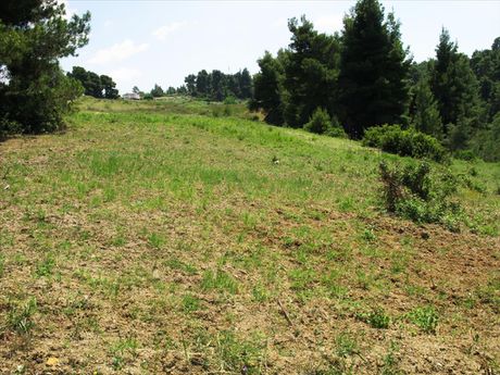 Land plot 6.500sqm for sale-Kassandra » Center