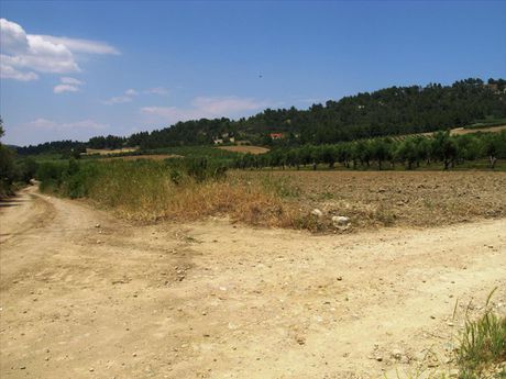 Land plot 4.385sqm for sale-Kassandra » Kassandrino