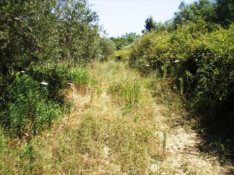 Land plot 12.250sqm for sale-Kassandra » Filakes Karakallou