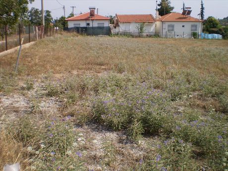 Land plot 1.691sqm for sale-Kallikrateia » Rodokipos
