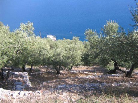 Land plot 580sqm for sale-Ithaki » Main Town - Chora