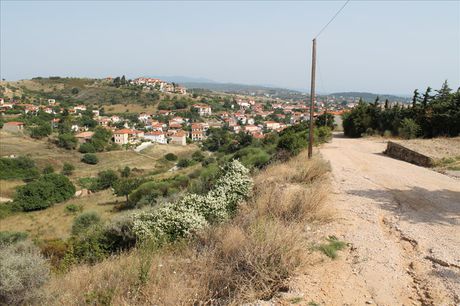 Land plot 2.008sqm for sale-Sithonia » Agios Nikolaos