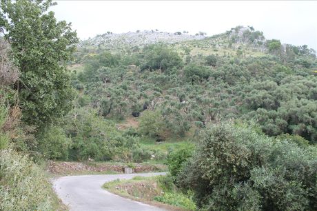Οικόπεδο 7.000τ.μ. για πώληση-Κέρκυρα » Θινάλιο