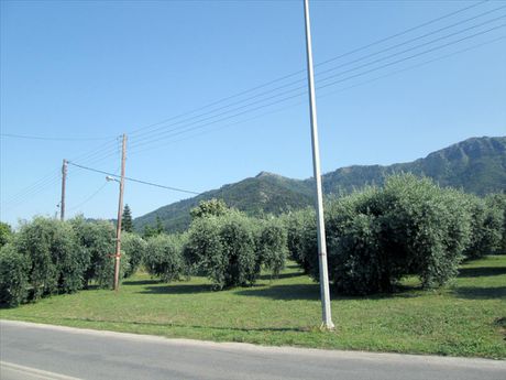 Οικόπεδο 1.137τ.μ. για πώληση-Θάσος » Χρυσή αμμουδιά