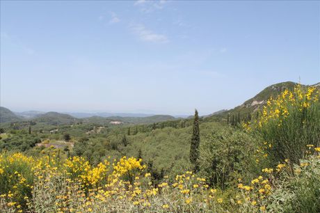 Οικόπεδο 5.000τ.μ. για πώληση-Κέρκυρα » Θινάλιο