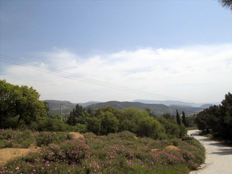 Οικόπεδο 4.700τ.μ. για πώληση-Φίλιπποι » Σταυρός