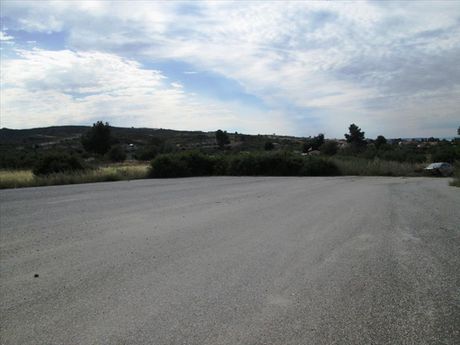 Οικόπεδο 10.000τ.μ. για πώληση-Παλλήνη » Χανιώτης