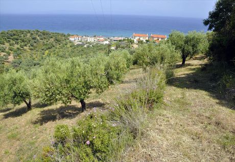 Οικόπεδο 3.750τ.μ. για πώληση-Σιθωνία » Σαλονικιού
