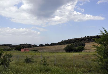 Οικόπεδο 4.000τ.μ. για πώληση-Σιθωνία » Άγιος αθανάσιος