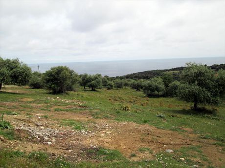 Οικόπεδο 4.025τ.μ. για πώληση-Θάσος » Μονή αρχαγγέλου