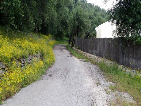 Οικόπεδο 3.800τ.μ. για πώληση-Κέρκυρα » Θινάλιο