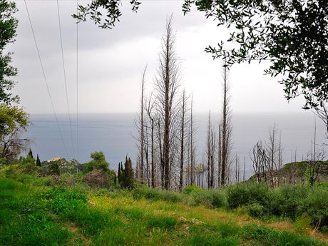 Οικόπεδο 2.500τ.μ. για πώληση-Κέρκυρα » Άγιος γεώργιος