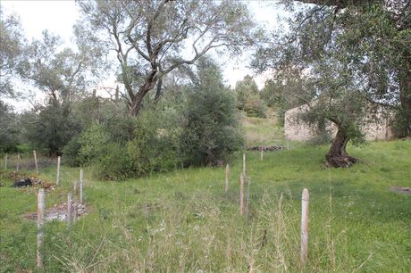 Οικόπεδο 4.300τ.μ. για πώληση-Κέρκυρα » Φαίακες