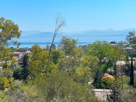 Οικόπεδο 4.710τ.μ. για πώληση-Κέρκυρα » Μελιτειέοι