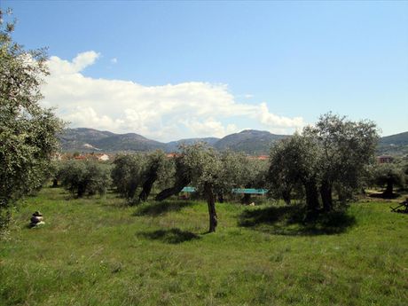 Οικόπεδο 2.995τ.μ. για πώληση-Θάσος » Καλύβια