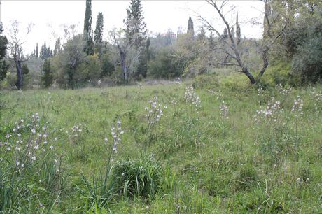 Οικόπεδο 1.300τ.μ. για πώληση-Κέρκυρα » Αχίλλειο