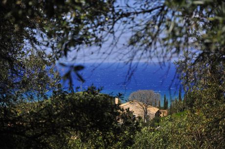 Οικόπεδο 15.000τ.μ. για πώληση-Κέρκυρα » Θινάλιο