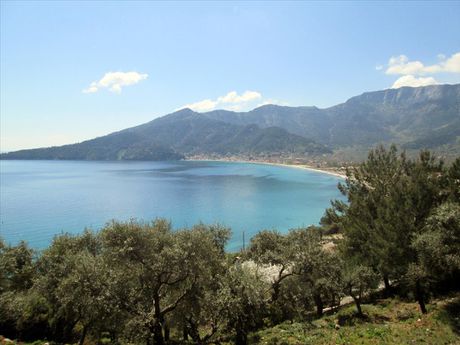 Οικόπεδο 11.700τ.μ. για πώληση-Θάσος » Χρυσή αμμουδιά