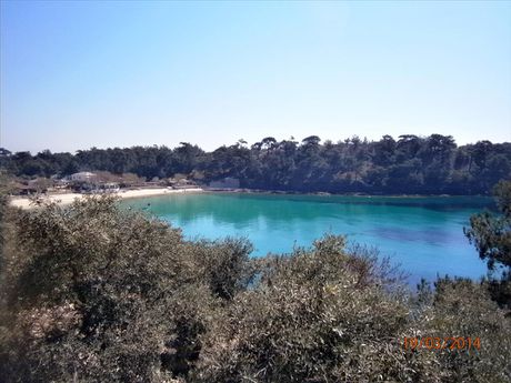 Οικόπεδο 0τ.μ. για πώληση-Θάσος » Αλυκή