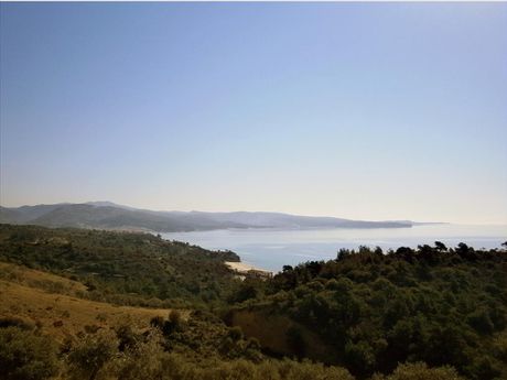 Οικόπεδο 12.000τ.μ. για πώληση-Θάσος » Καλύβια