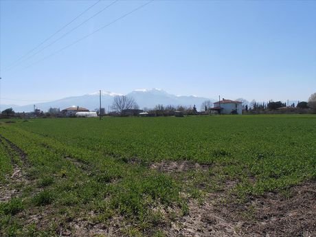 Οικόπεδο 4.000τ.μ. για πώληση-Παραλία » Κέντρο