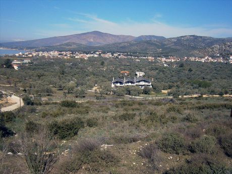 Οικόπεδο 0τ.μ. για πώληση-Θάσος » Ποτός