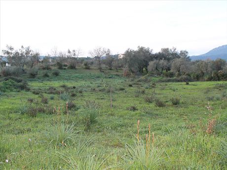 Land plot 5.700sqm for sale-Corfu » Faiakes