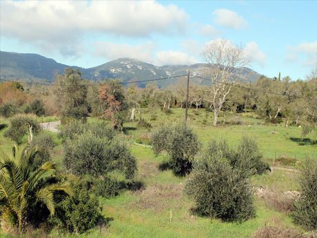 Land plot 6.000sqm for sale-Corfu » Faiakes