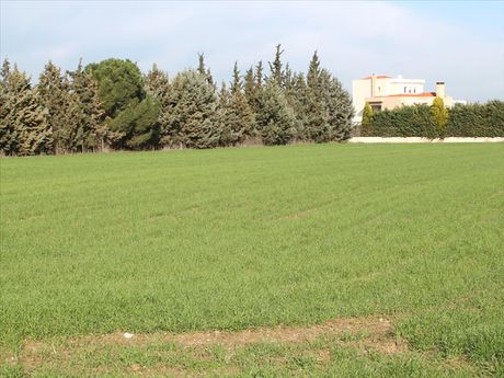 Land plot 0sqm for sale-Thermaikos » Livadakio