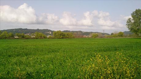 Land plot 9.861sqm for sale-Kassandra » Glifoneri